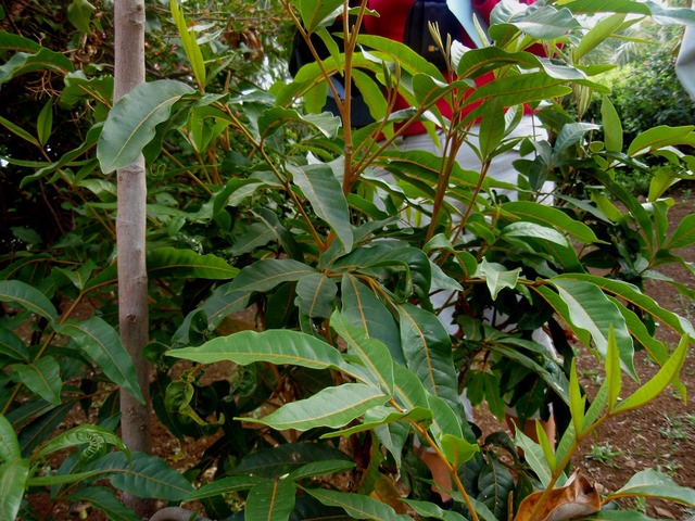 P1010021 01