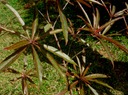 P1010022 01