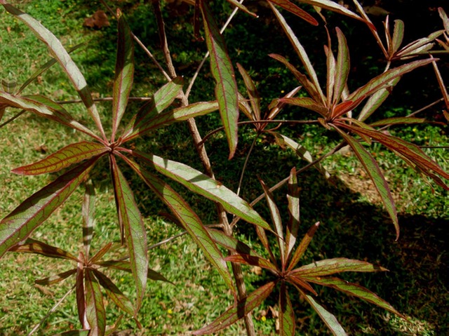 P1010022 01