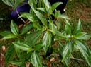 P1010023 01