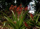 P1010024 01