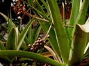 P1010025 02
