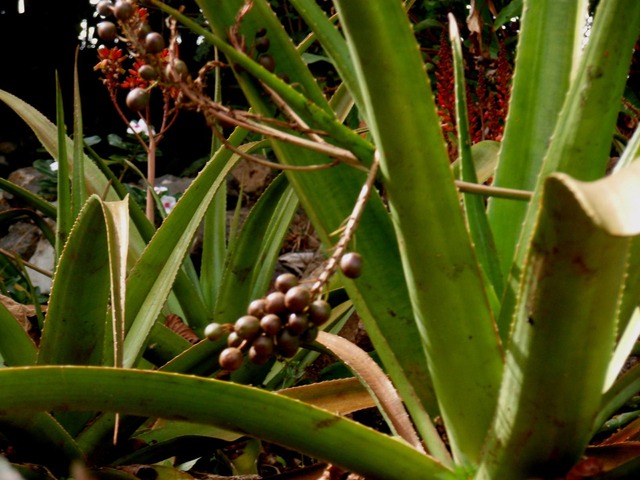 P1010025 02