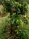 P1010028 02