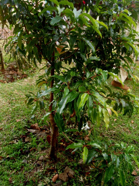 P1010028 02
