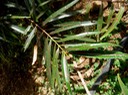 P1010032 02