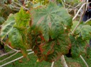 P1010033 02
