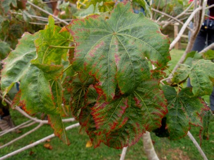 P1010033 02