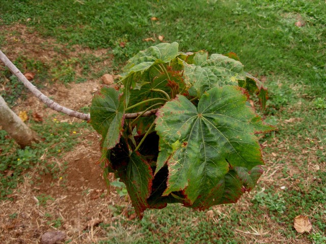 P1010034 02