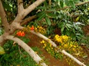 P1010038 01