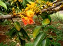 P1010039 01
