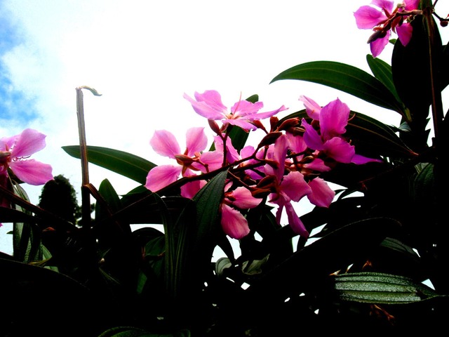 P1010051 01