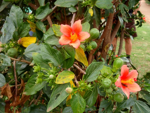 P1010055 01