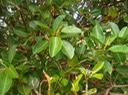 P1010056 01