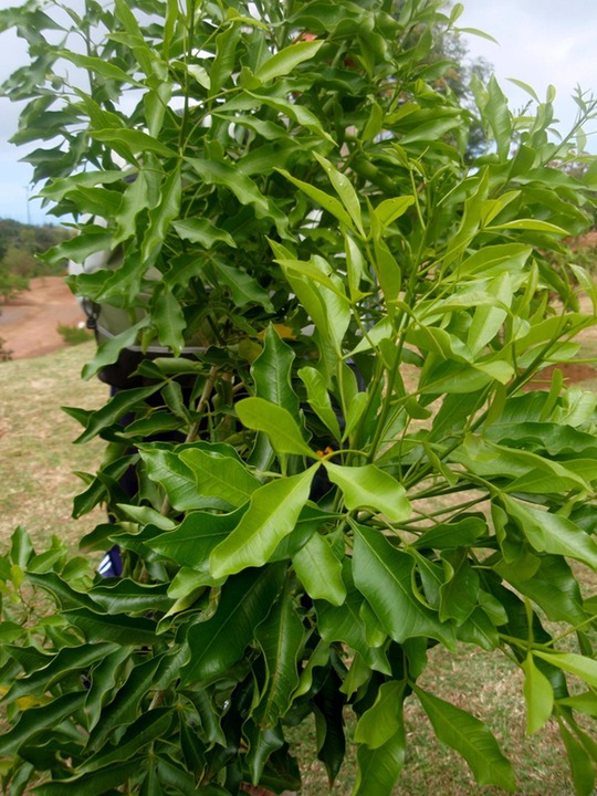 P1010059