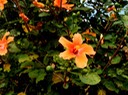 P1010062