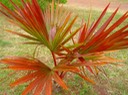 P1010064