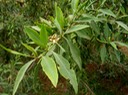 P1010065