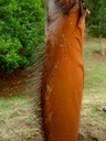 P1010068