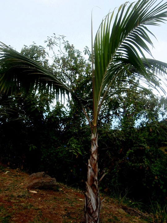 P1010072