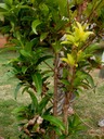 P1010073