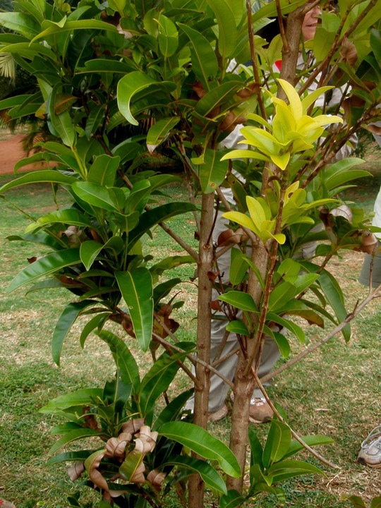 P1010073
