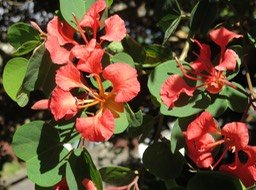 IMG_0003