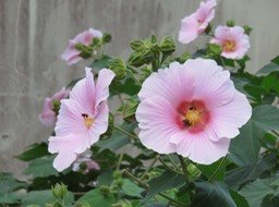 IMG_0013