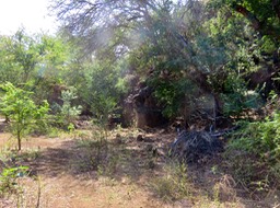 1. Sur le sentier bas