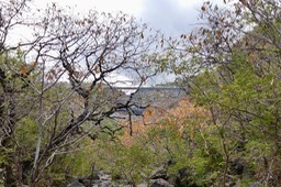 -vue vers le pont de la route des tamarins P1037575