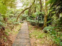 P1020059