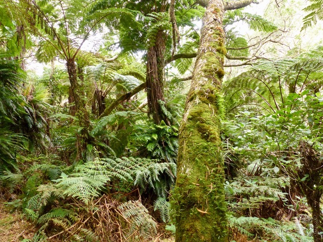 P1020060