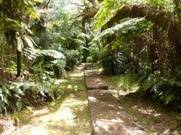 P1020092