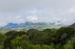 3 Paysages de la Plaine des Cafres