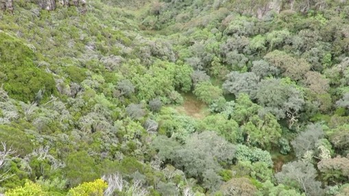 9-video-panoramique-sur-la-6