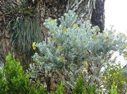 P1570638
