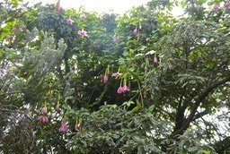 P1570684
