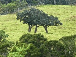 P1570710
