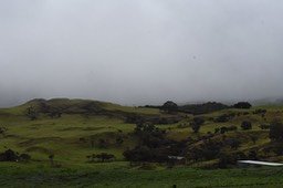 Paysage de La Plaine des Cafres