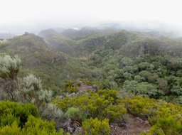 14. Brouillard sur les Plaines IMG_3384.JPG