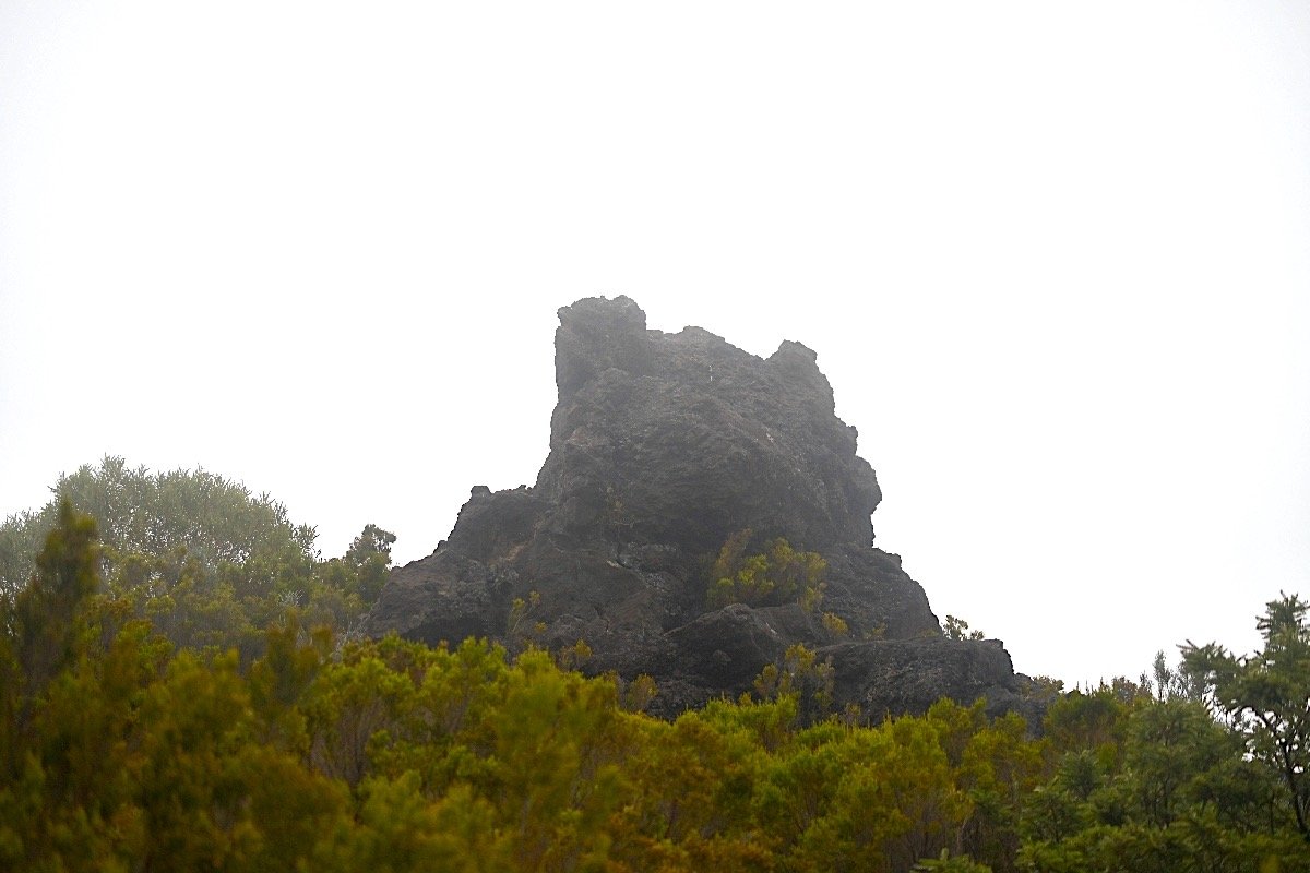 Point de vue _6119