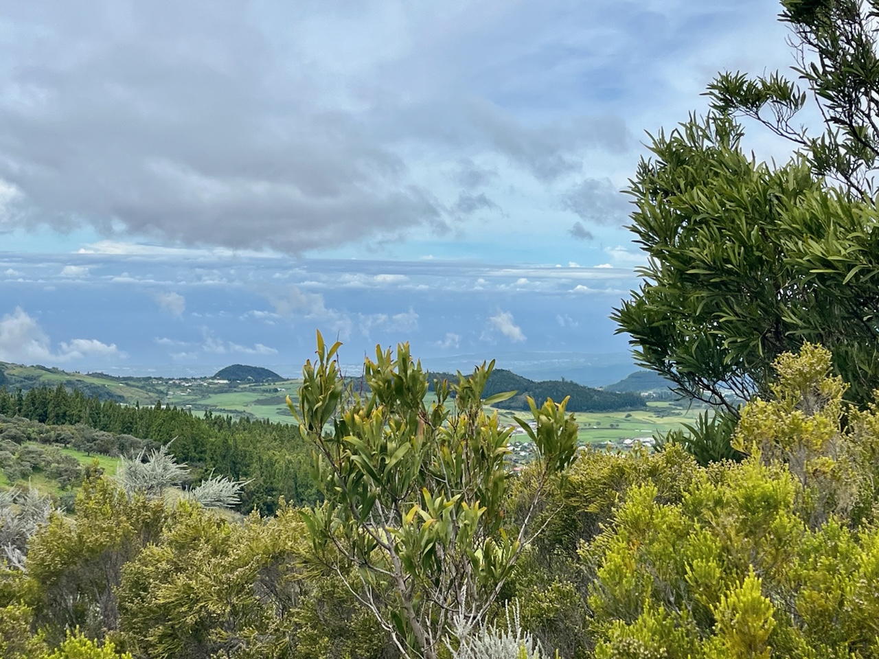 vue sur la Plaine des Cafres
