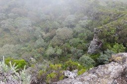 10 Aux bords extrêmes au bas du trône 2