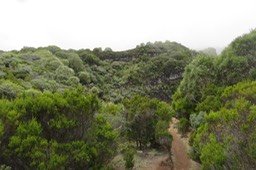 16 Portion de sentier typique de cette marche autour du grand Trou Blanc