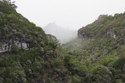 20 Là-haut, le trône