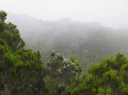 3 Aux bords du grand Trou blanc