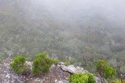 9 Aux bords extrêmes au bas du trône