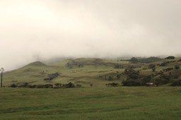 DSC_5650