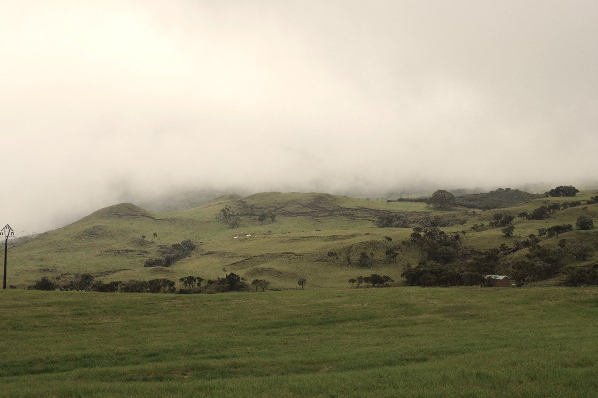DSC_5650