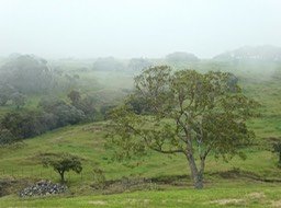 P1270297